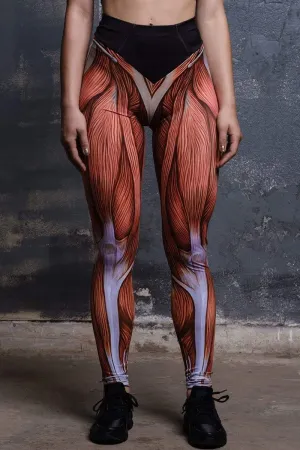 Muscle Workout Leggings