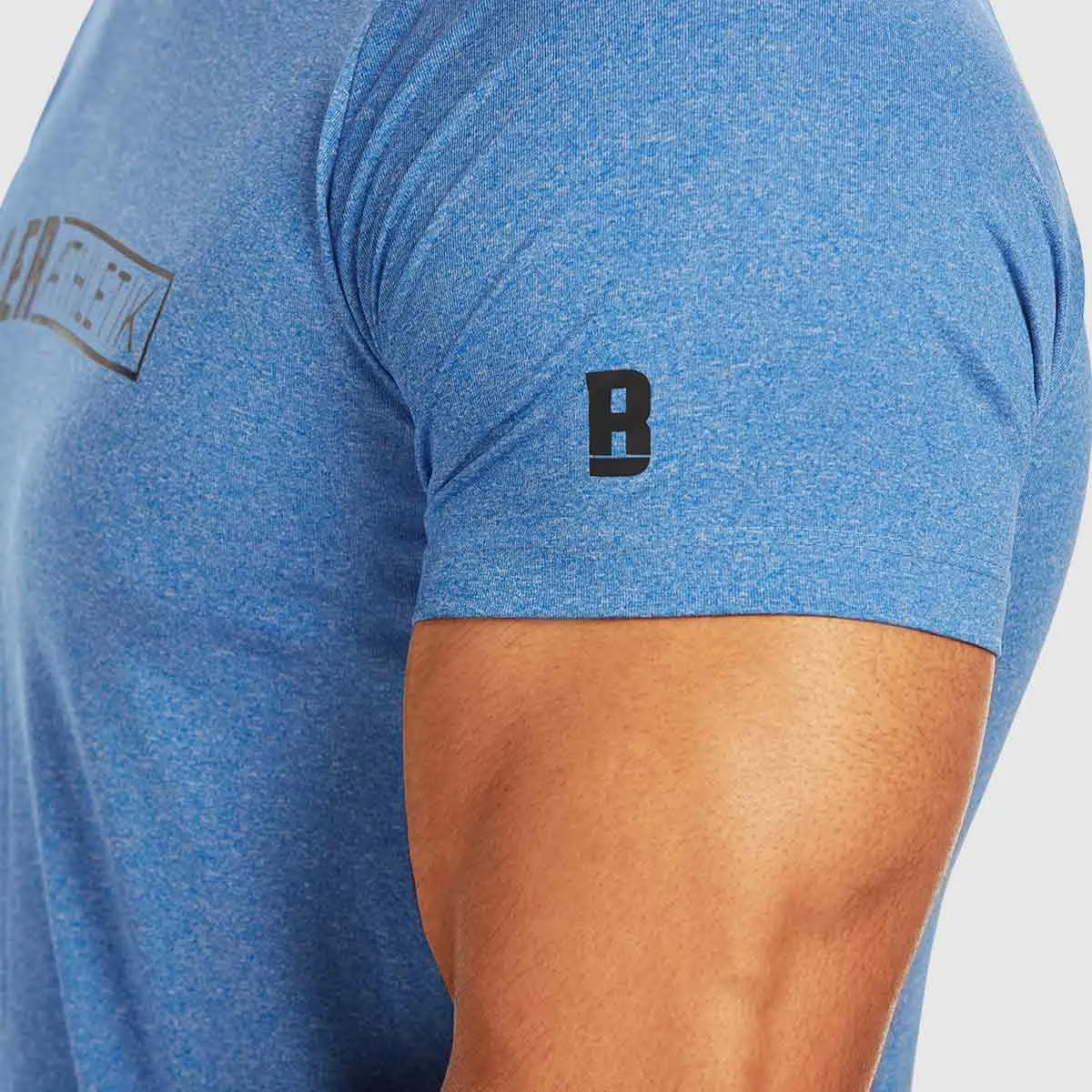 Raglan Fitted Tee - Blue