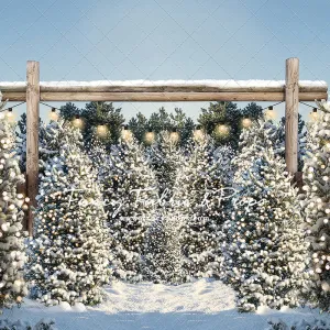 Winter Cut & Carry Tree Farm