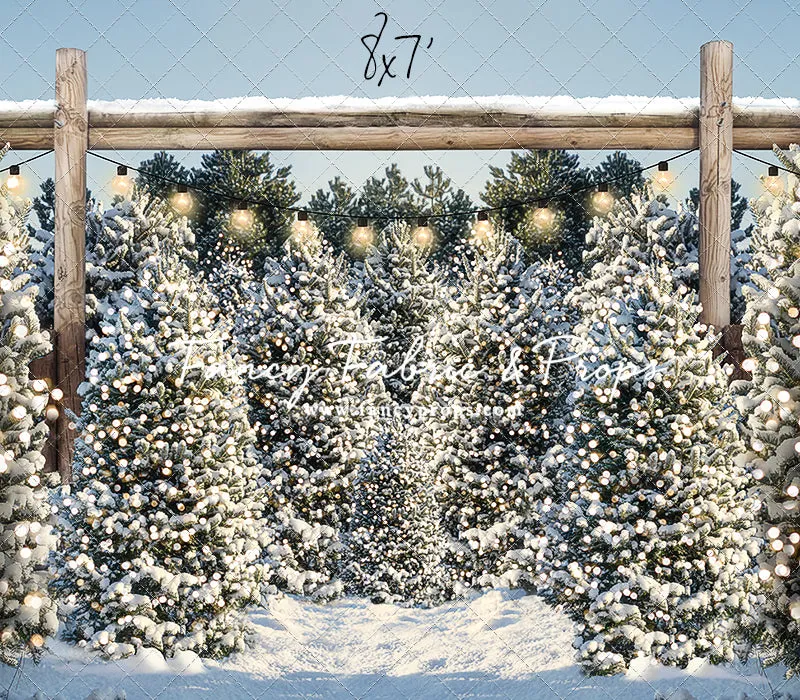 Winter Cut & Carry Tree Farm